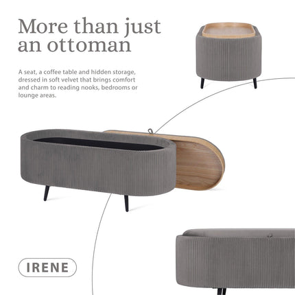 Furniture Cartoz.
