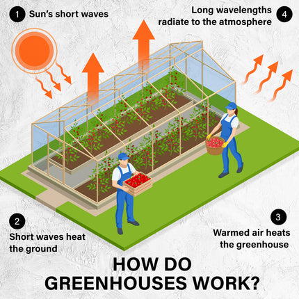 Home & Garden Cartoz.