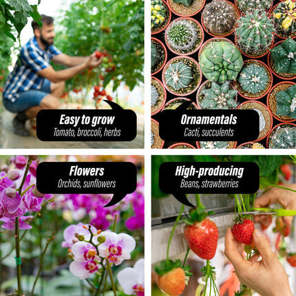 Home & Garden Cartoz.