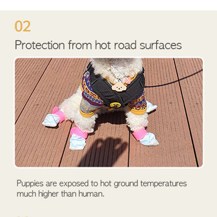Pet Care Cartoz.