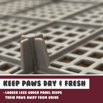 Dog Pet Potty Tray Training Toilet Raised Walls T1 WINE.