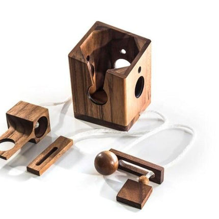 Brainteaser wine bottle mystery lock puzzle- open the lock before you can have a drink! Great party gift.
