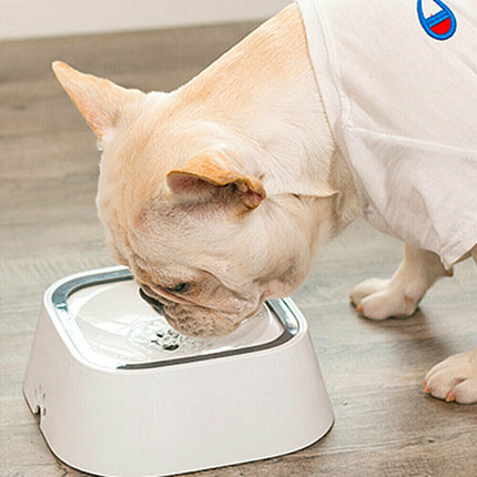 YES4PETS 1 x Medium Pet No Spill Feeder Bowl Dog Cat Puppy slow food Interactive Dish Dispenser.