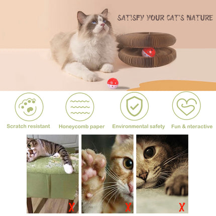 Pet Care Cartoz.