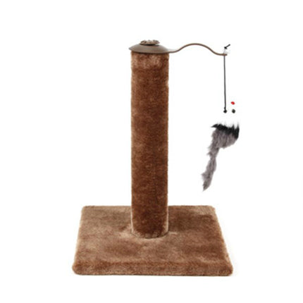 Pet Care Cartoz.