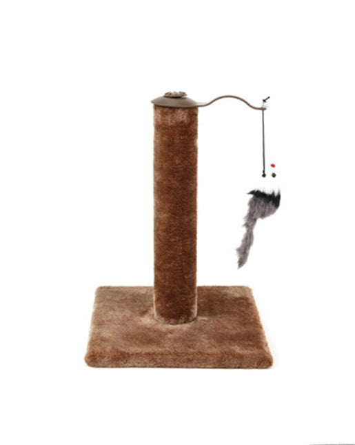 Pet Care.