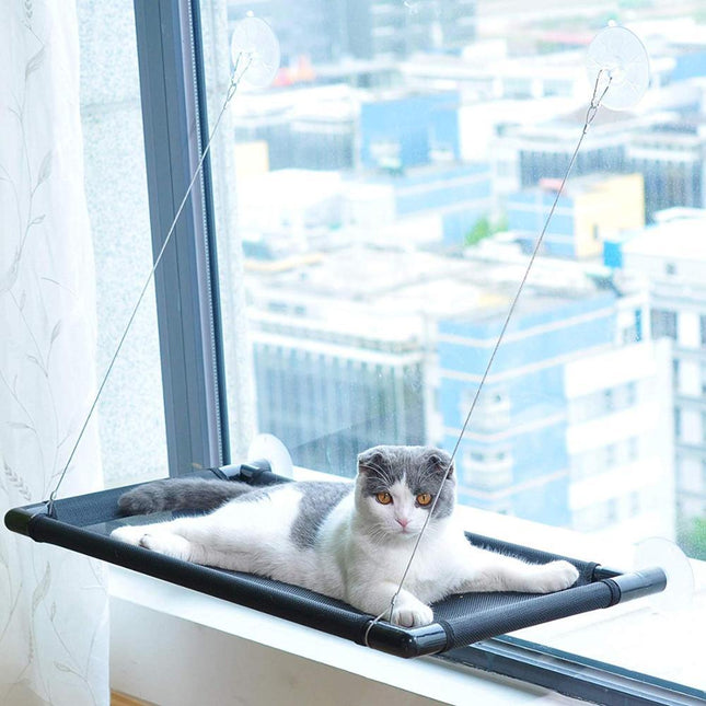Pet Care.