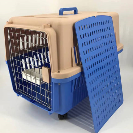 Pet Care Cartoz.