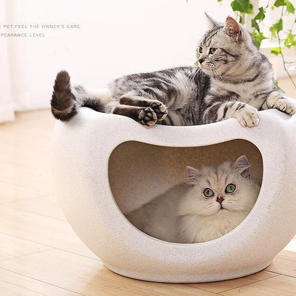 Pet Care.