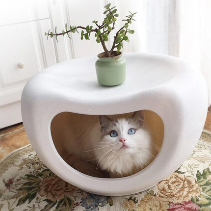 Pet Care.
