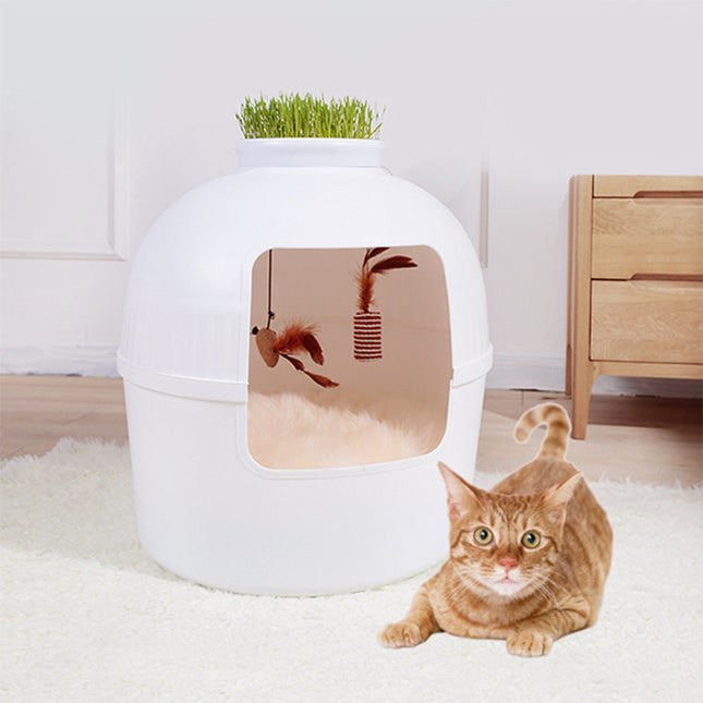 Pet Care.