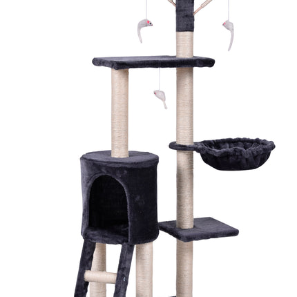 Pet Care Cartoz.