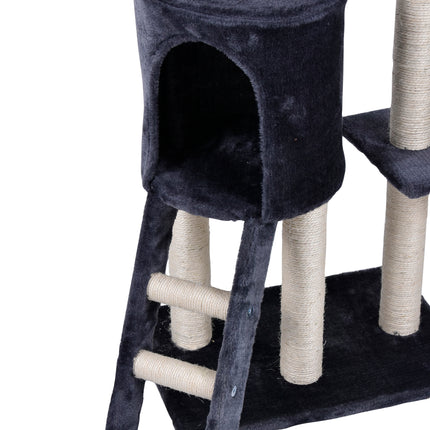 Pet Care Cartoz.