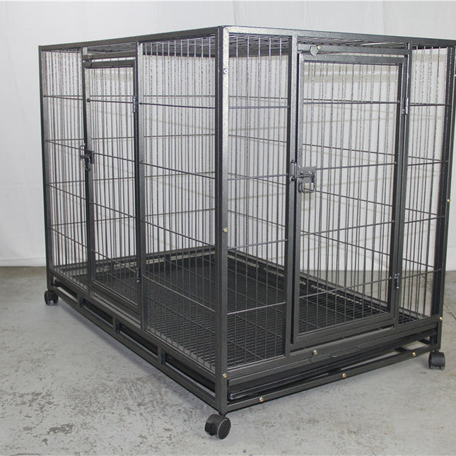 Pet Care.