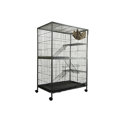 Pet Care Cartoz.