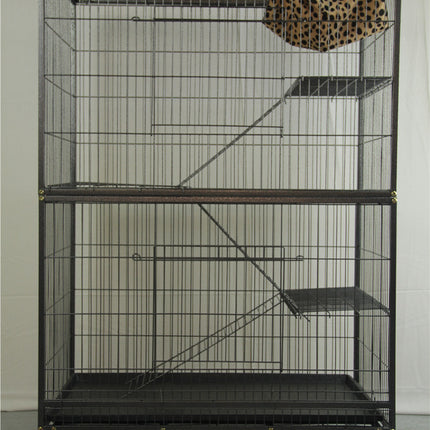 Pet Care Cartoz.