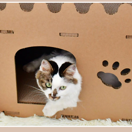 Pet Care Cartoz.