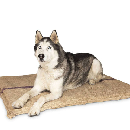 Jumbo Hessian Pet Dog Puppy Bed Mat Pad House Kennel Cushion With Foam 110 x 78 cm.