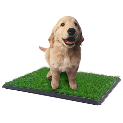 YES4PETS XL Indoor Dog Puppy Toilet Grass Training Mat Loo Pad Potty 76 X 51 cm.