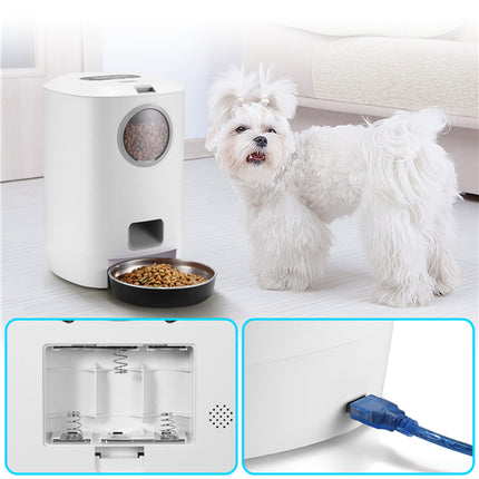 Pet Care Cartoz.