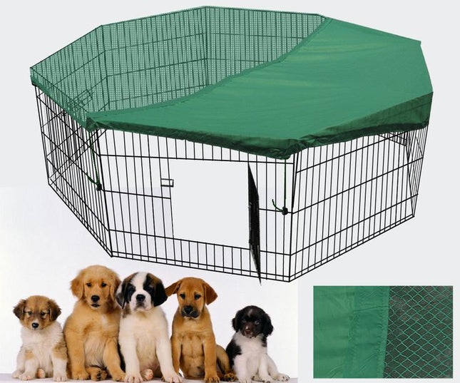Pet Care.
