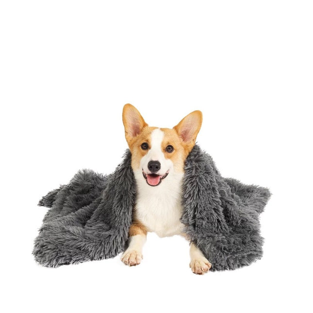 Pet Care.