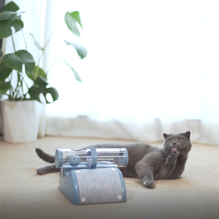 Pet Care Cartoz.