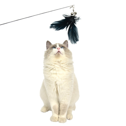 YES4PETS  2 X Pet Cat Toys Retractable Feathers Teaser Cat Stick Interactive Play.