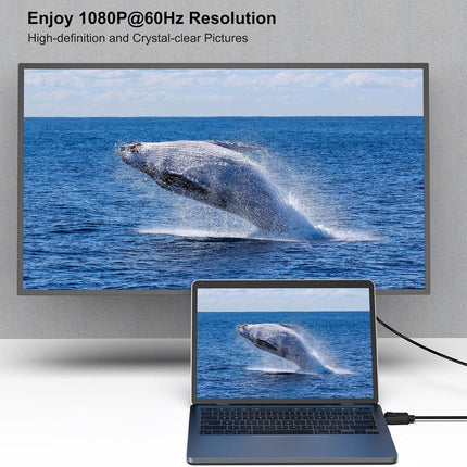 BENFEI DisplayPort to DVI 1.8m (6 Feet) Cable.