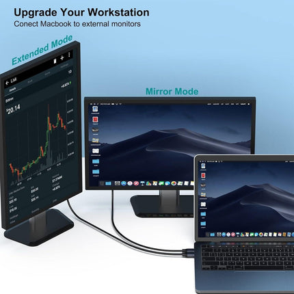 BENFEI USB-C to DisplayPort 3M (10 Feet) Cable(8K@60Hz 4K@144Hz).