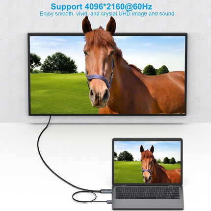 BENFEI 344GY-1M HDMI to DisplayPort Unidirectional 4K Active Cable with USB Powered 1M.