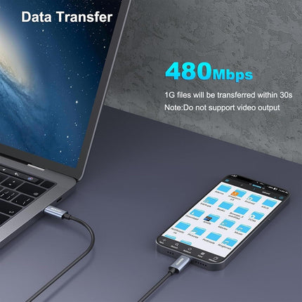 BENFEI 351SL-6F 100W USB-C to USB-C Fast Charging Cable Aluminum Shell Tangle-Free Silicone.