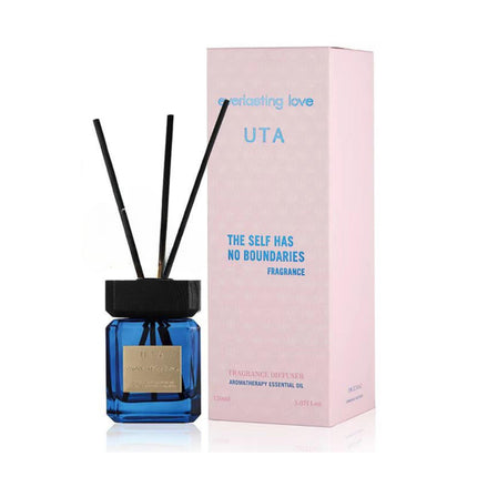 UTA Diffuser No Boundaries.