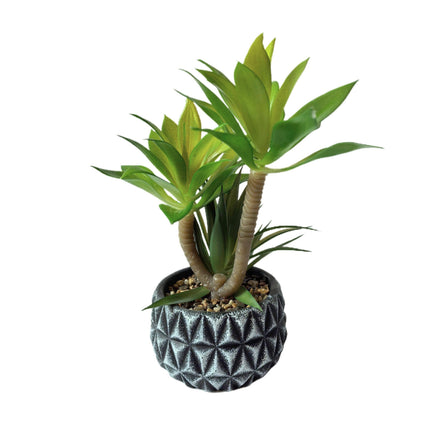 Home & Garden Cartoz.