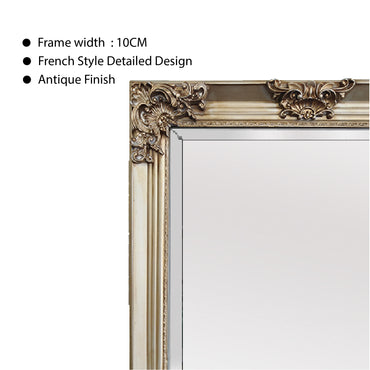 Deluxe French Provincial Ornate Mirror - Champagne - X large 210cm x 110cm.
