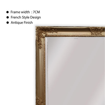 French Provincial Ornate Mirror - Champagne - Medium 70cm x 170cm.