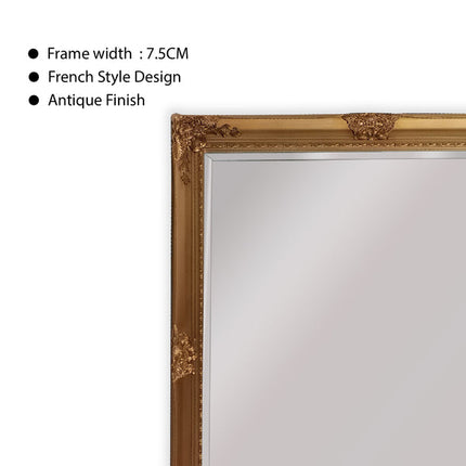 French Provincial Ornate Mirror - Country Gold - Medium 70cm x 170cm.