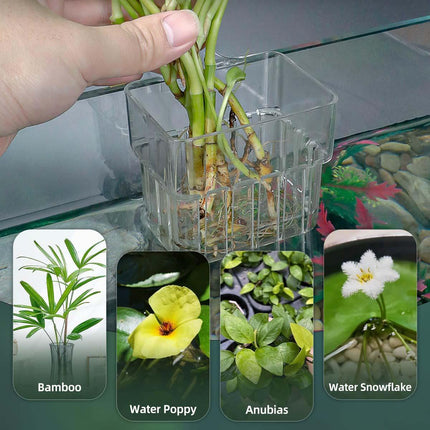 2pc Aquarium Plant Holder Clear Hanging Aquatic Planters with Hooks for Fish Tank Decor.
