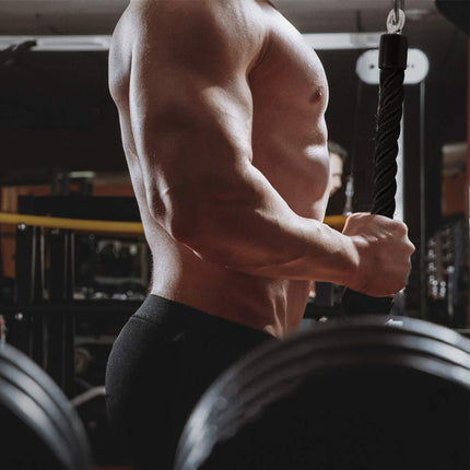 Single Grip Tricep PullDown Rope Cable Attachment Pull Down Rope Tricep Rope Pully.