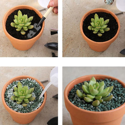 Home & Garden Cartoz.