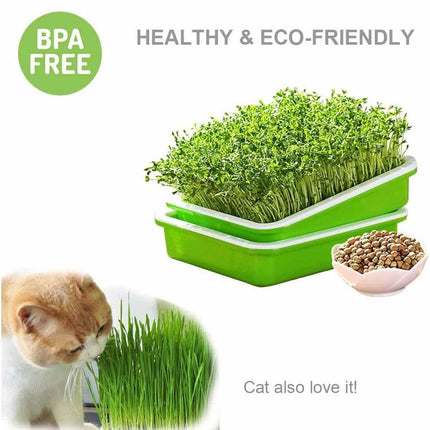 2-Pack Seed Sprouter Trays with Lids BPA-Free, Soil-Free Wheatgrass Growing Kit for Beans, Sprouts, Microgreens.