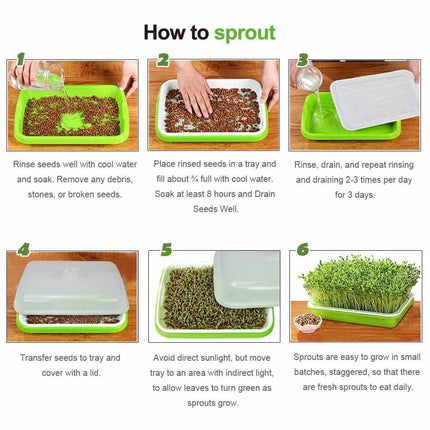 2-Pack Seed Sprouter Trays with Lids BPA-Free, Soil-Free Wheatgrass Growing Kit for Beans, Sprouts, Microgreens.