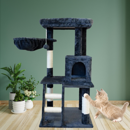 Pet Care Cartoz.