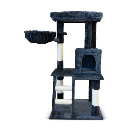 Pet Care Cartoz.