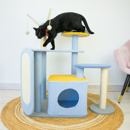 Pet Care Cartoz.