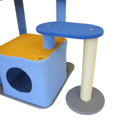 Pet Care Cartoz.