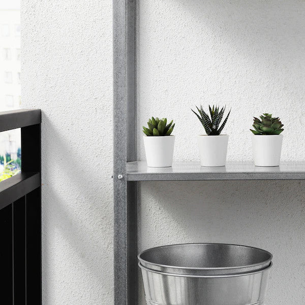 3 Pack of Artificial Succulent Potted Plants in White Plastic 6cm Pot Interior Decoration.
