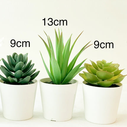 3 Pack of Artificial Succulent Potted Plants in White Plastic 6cm Pot Interior Decoration.