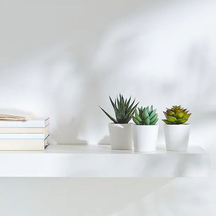 3 Pack of Artificial Succulent Potted Plants in White Plastic 6cm Pot Interior Decoration.