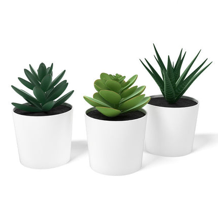 3 Pack of Artificial Succulent Potted Plants in White Plastic 6cm Pot Interior Decoration.